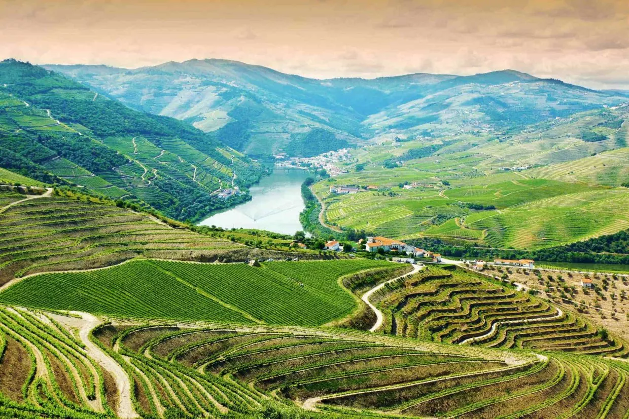 Happy Porto Hostel – Excursiones al Valle del Duero cerca de Oporto
